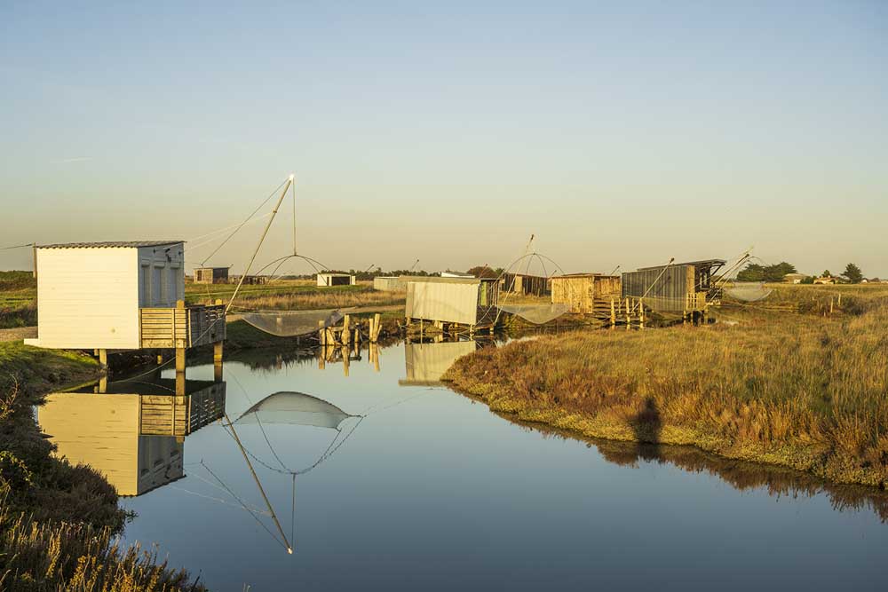 camping au coeur de la nature en Vendée