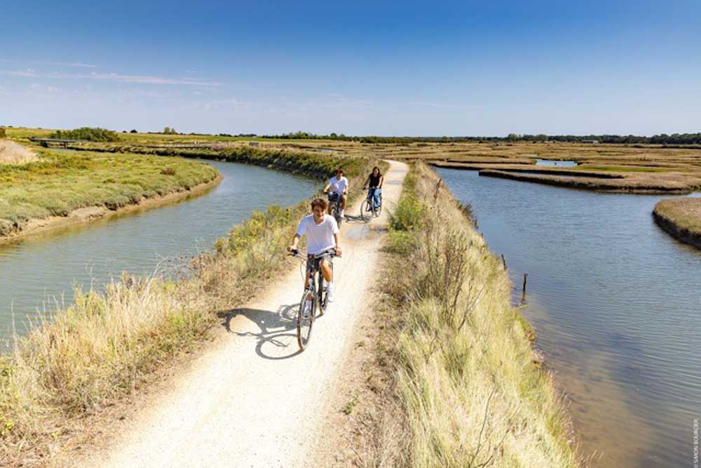 camping nature en VENDEE