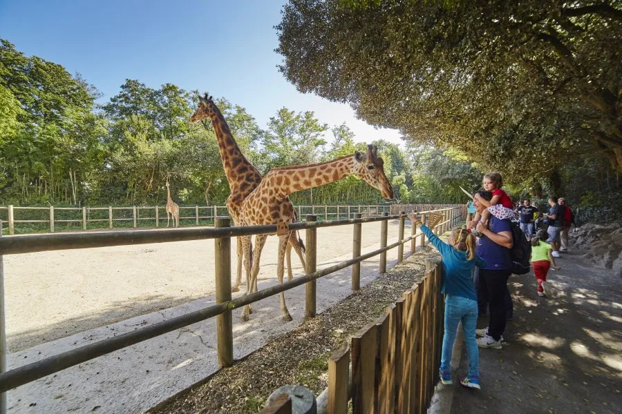 sorties au zoo des sables depuis le camping Le Ragis